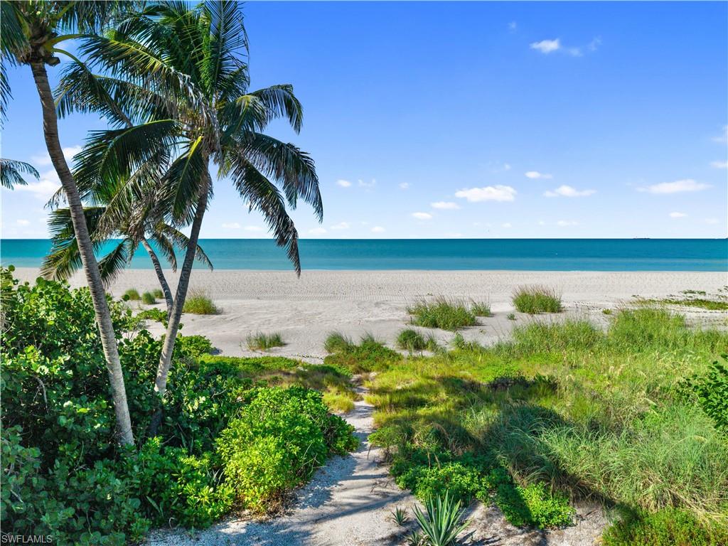 16512 Captiva DR photo 37