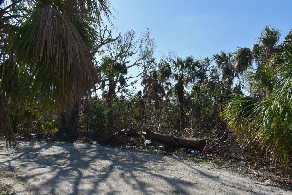 Lot View