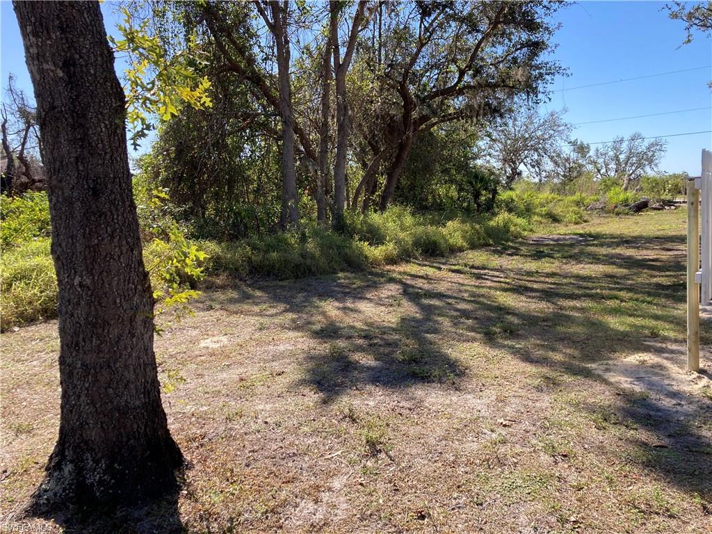 Lot view