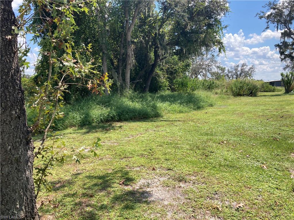 30445 Holly RD photo 18