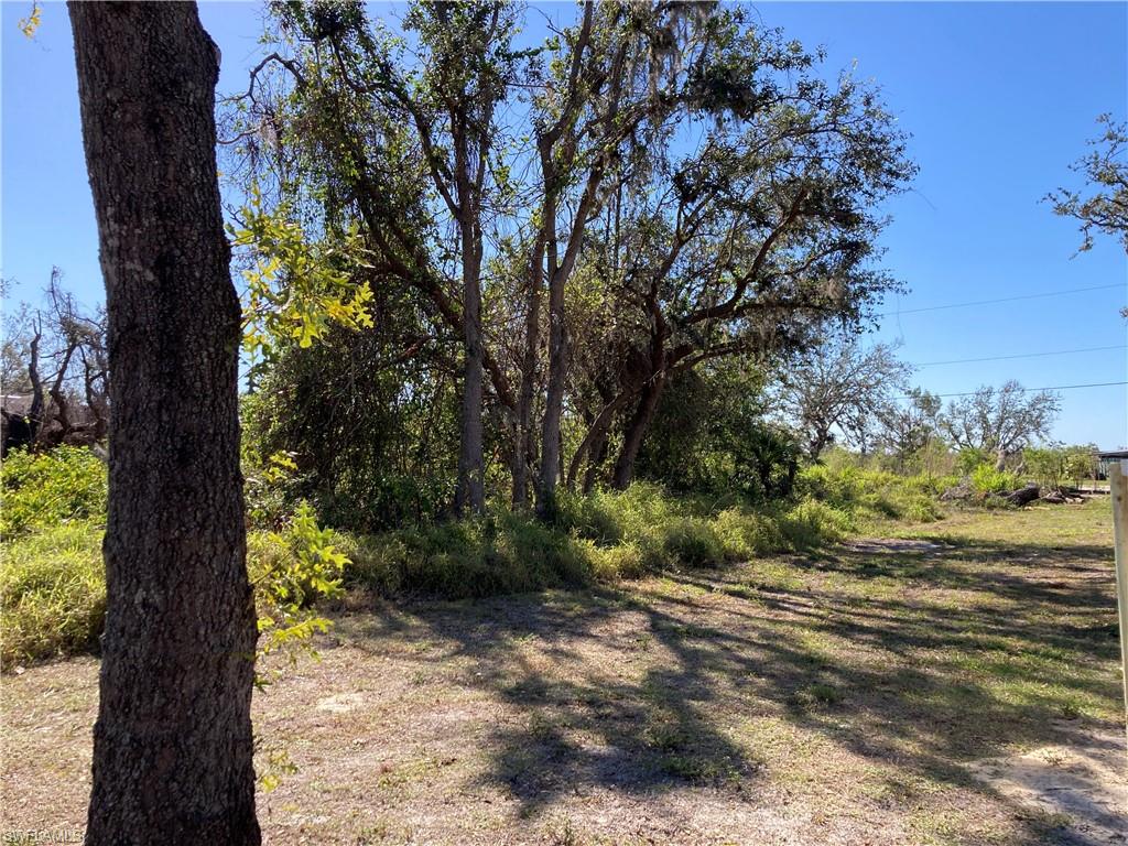 30445 Holly RD photo 8