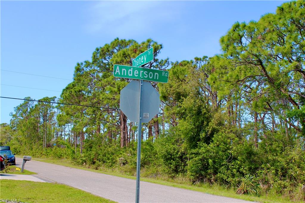 Close to the Corner of Anderson and Chaney