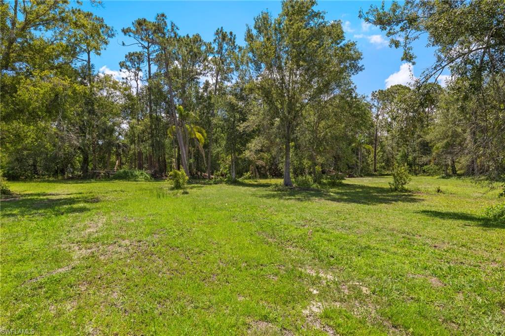 13100 Pinto LN photo 6