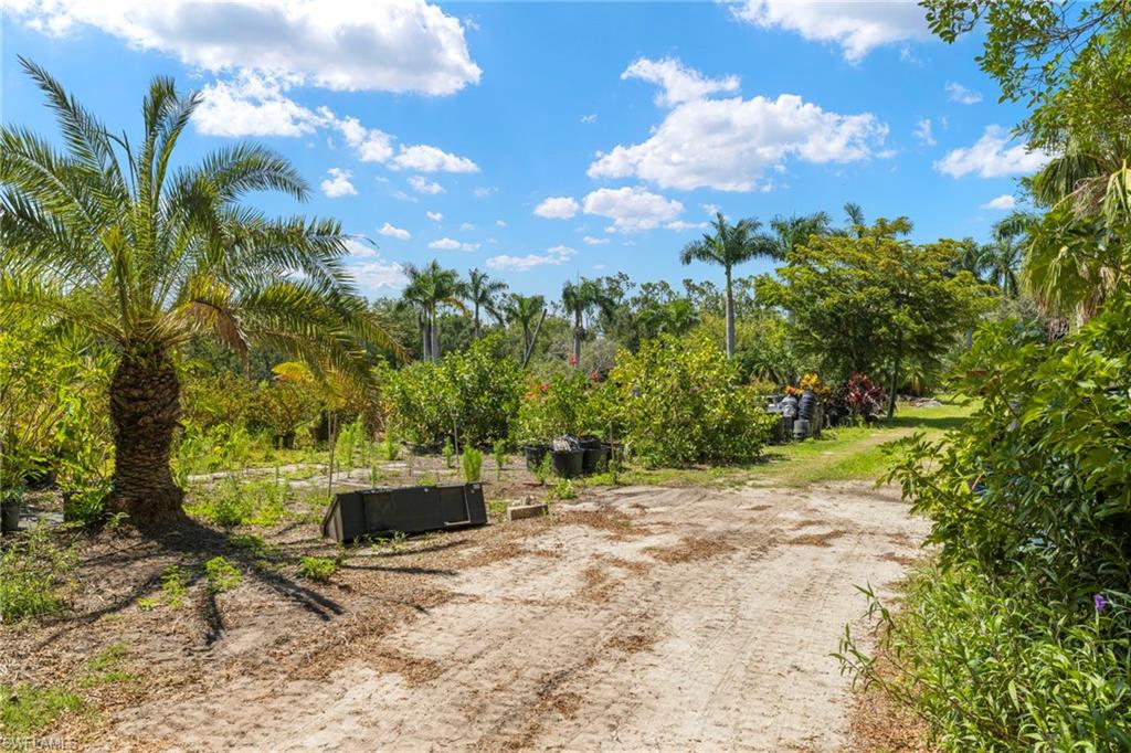 13100 Pinto LN photo 17