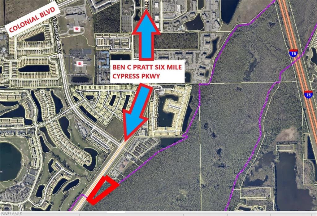 View of parcel off Six Mile Cypress