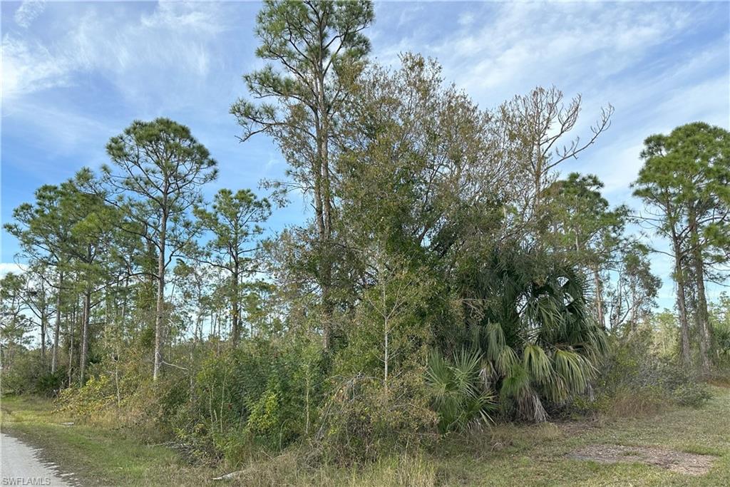 12135 Ludden CT photo 9
