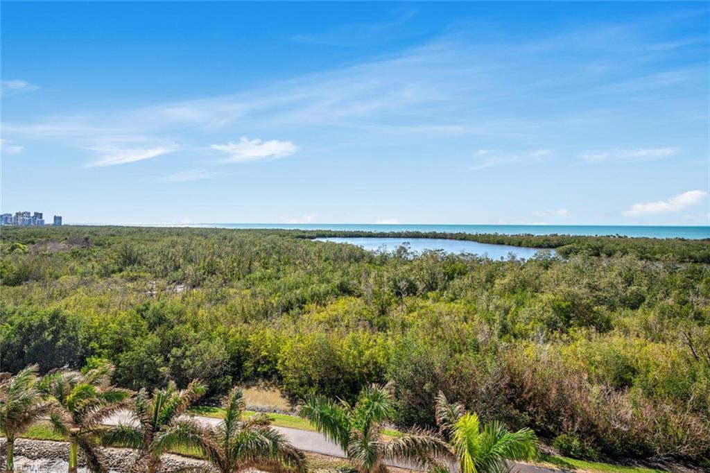 View of the Gulf from the Balcony