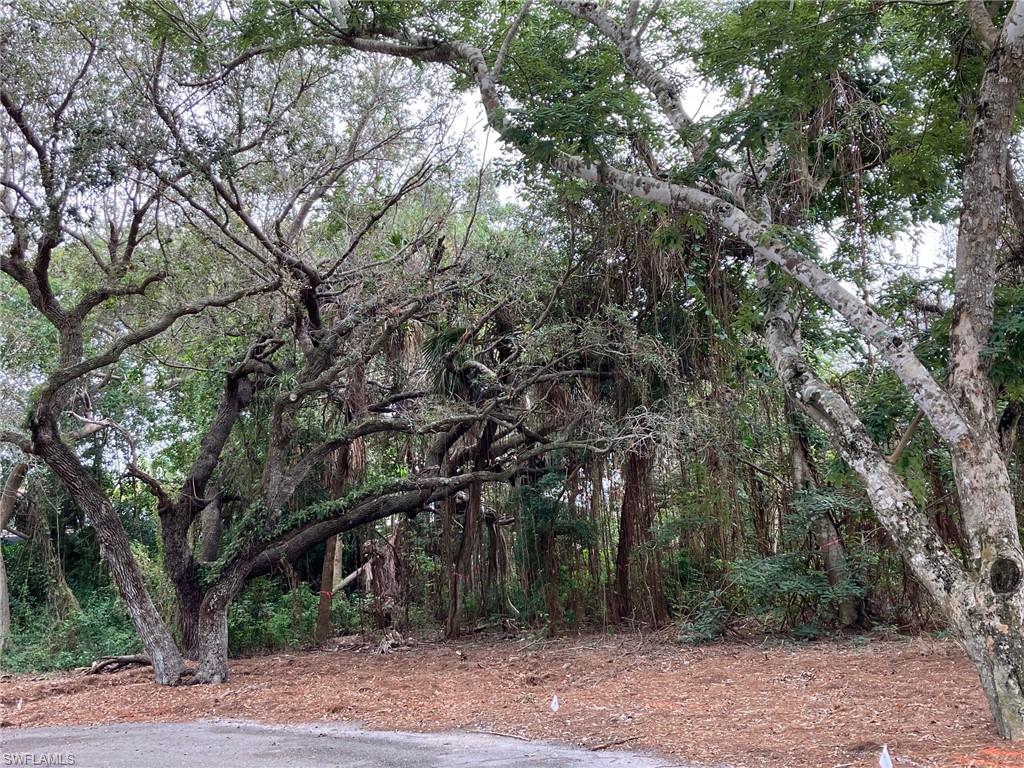 379 Morning Glory LN