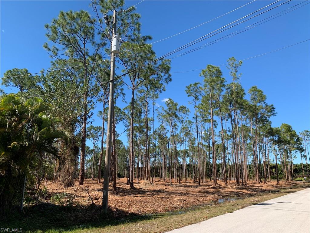 Photo illustrates 2 contiguos lots, this listing is for only one lot with approx. area of 1.25 acres  COMPLETELY CLEARED OF EXOTICS VEGETATION.