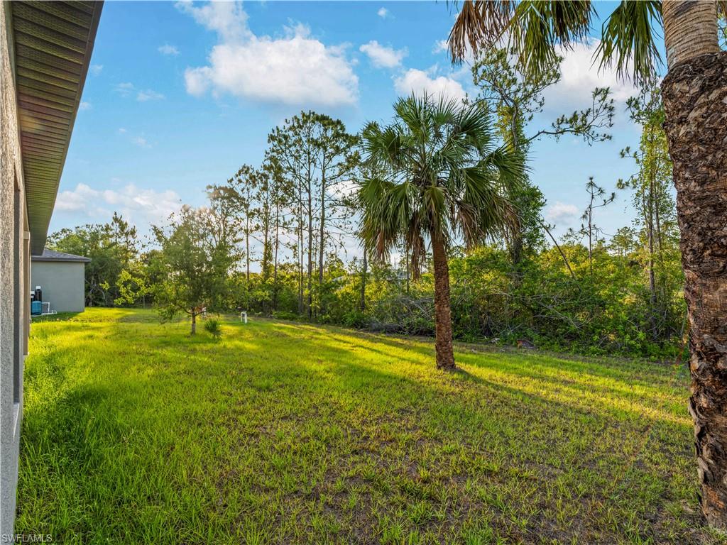 View of grassy yard