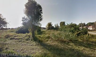 View of local wilderness