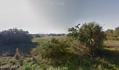 View of nature