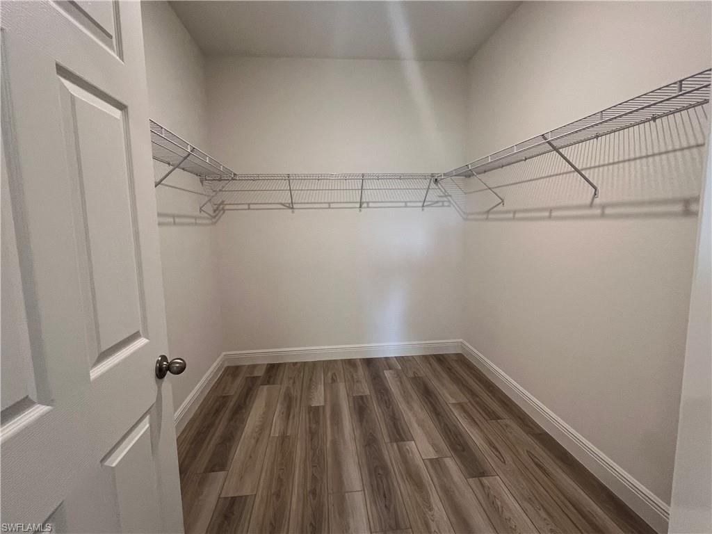 Walk in closet featuring dark wood-type flooring
