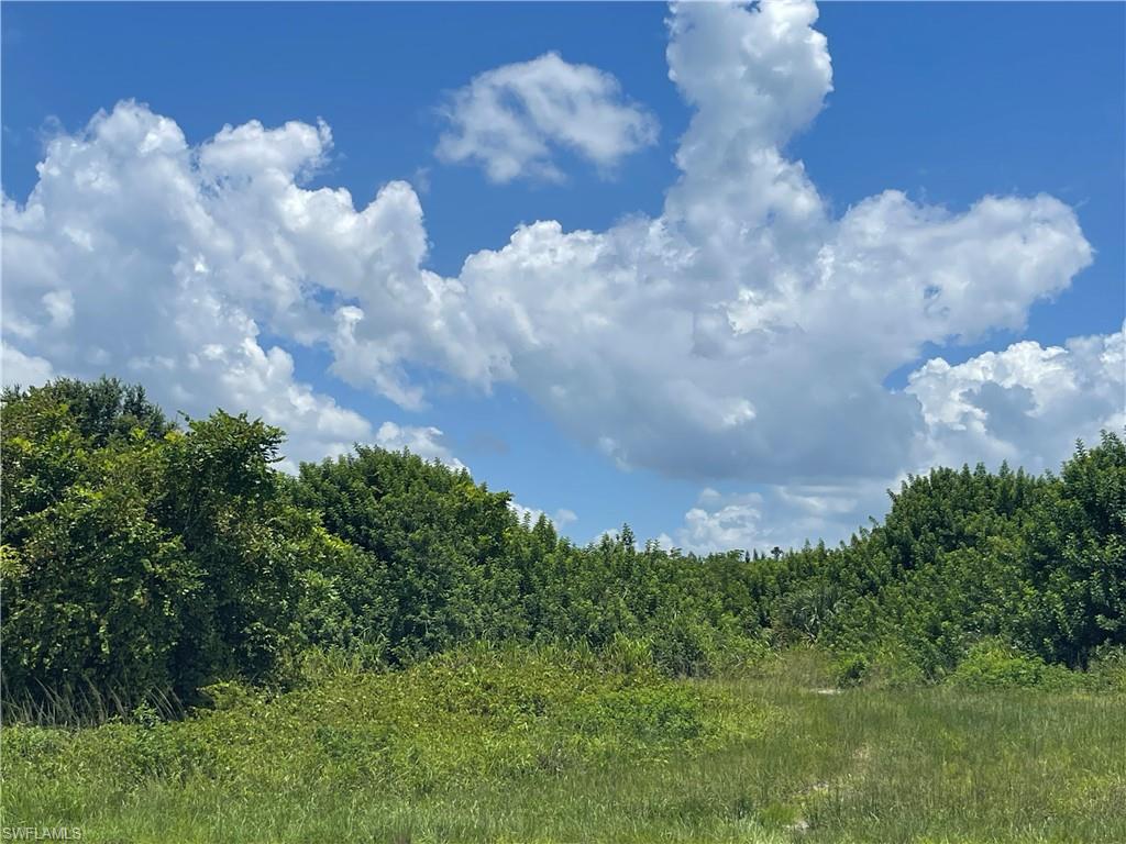 View of nature