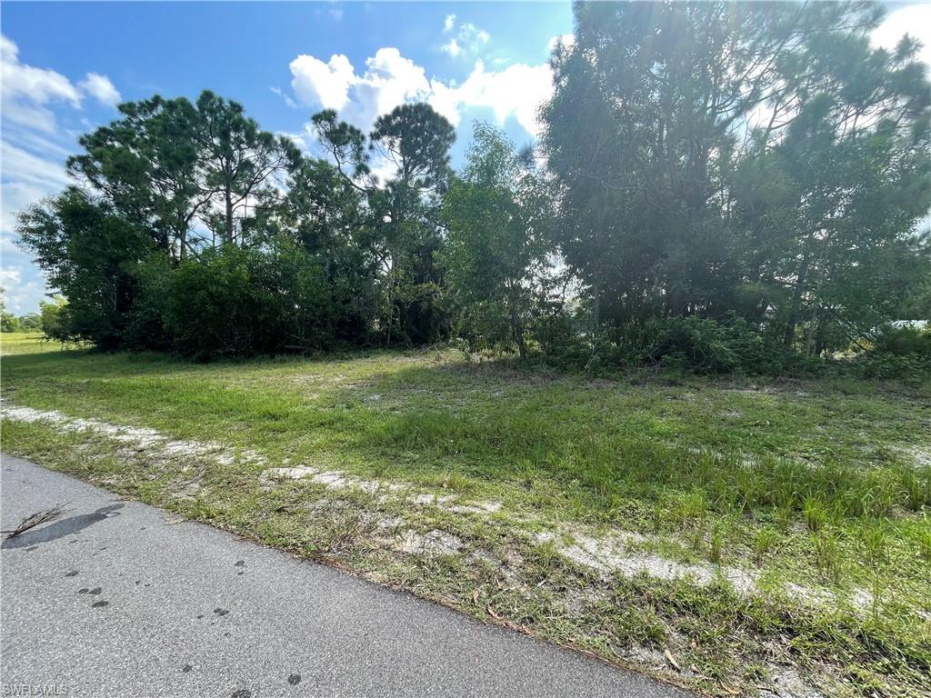 Side of Lot from Street