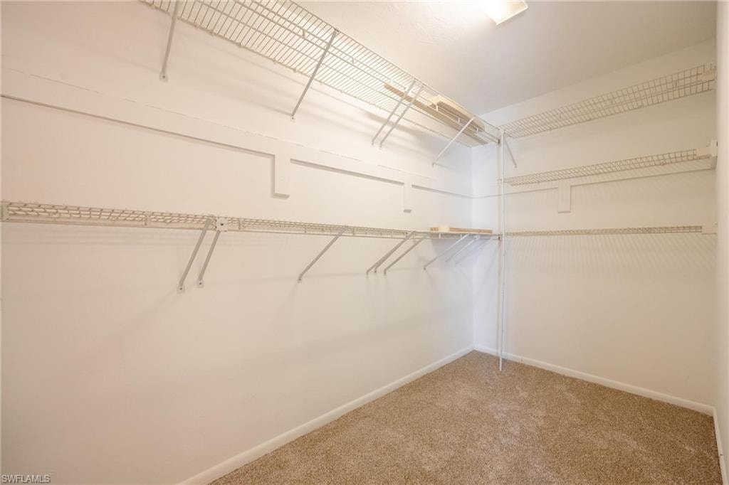 Walk in closet featuring carpet flooring