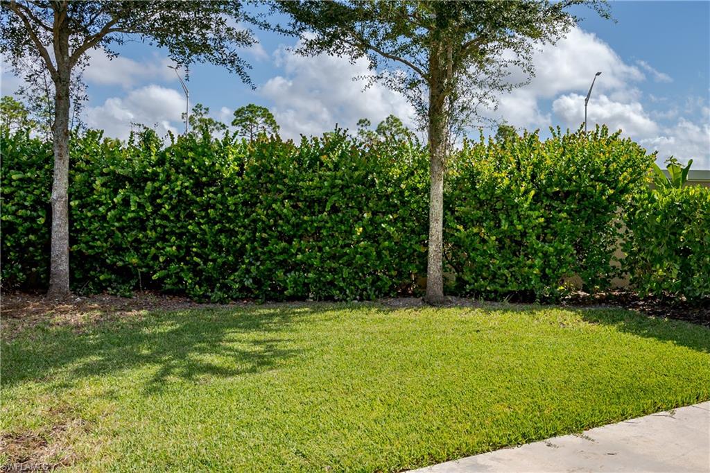 13611 Snook CIR photo 19