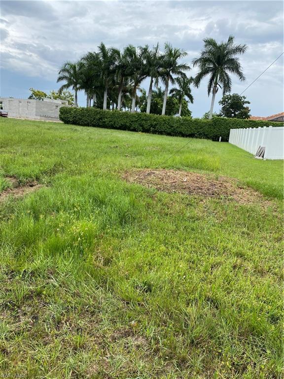 View from street showing neighbors fence.
