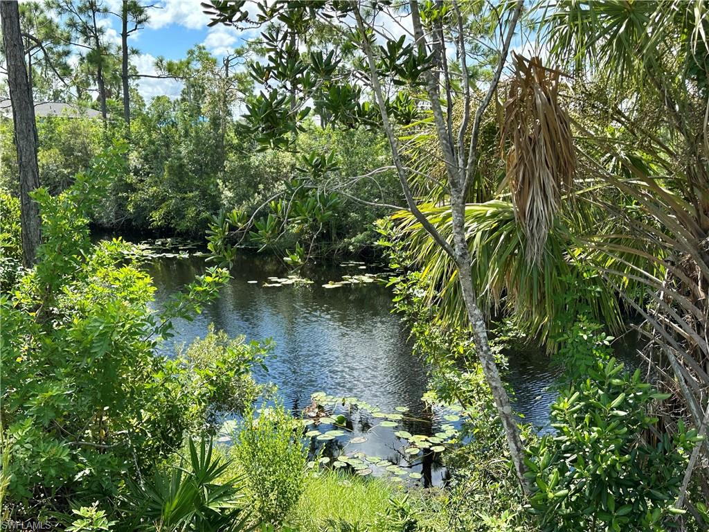 View of Navigable Canal and Tropicals