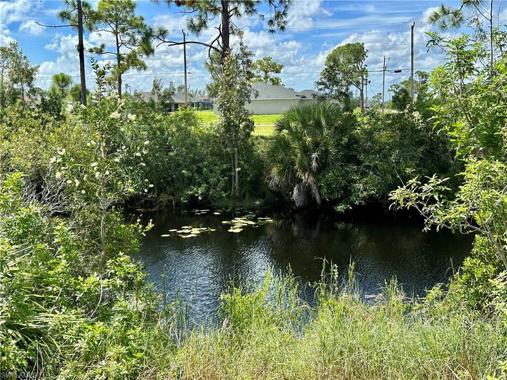 View of Navigable Canal and Shoreline Tropicals
