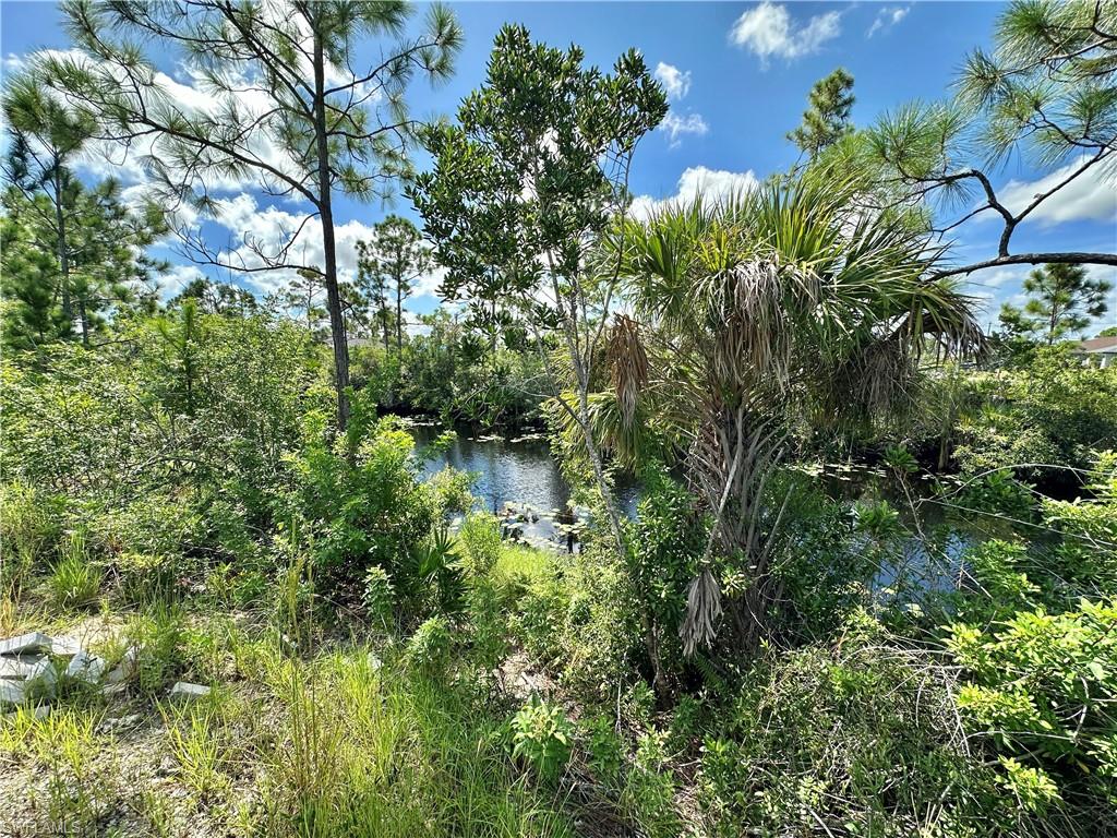 View of Canal thru water-fed tropicals