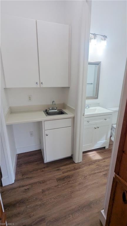 Bathroom featuring wood-type flooring and vanity