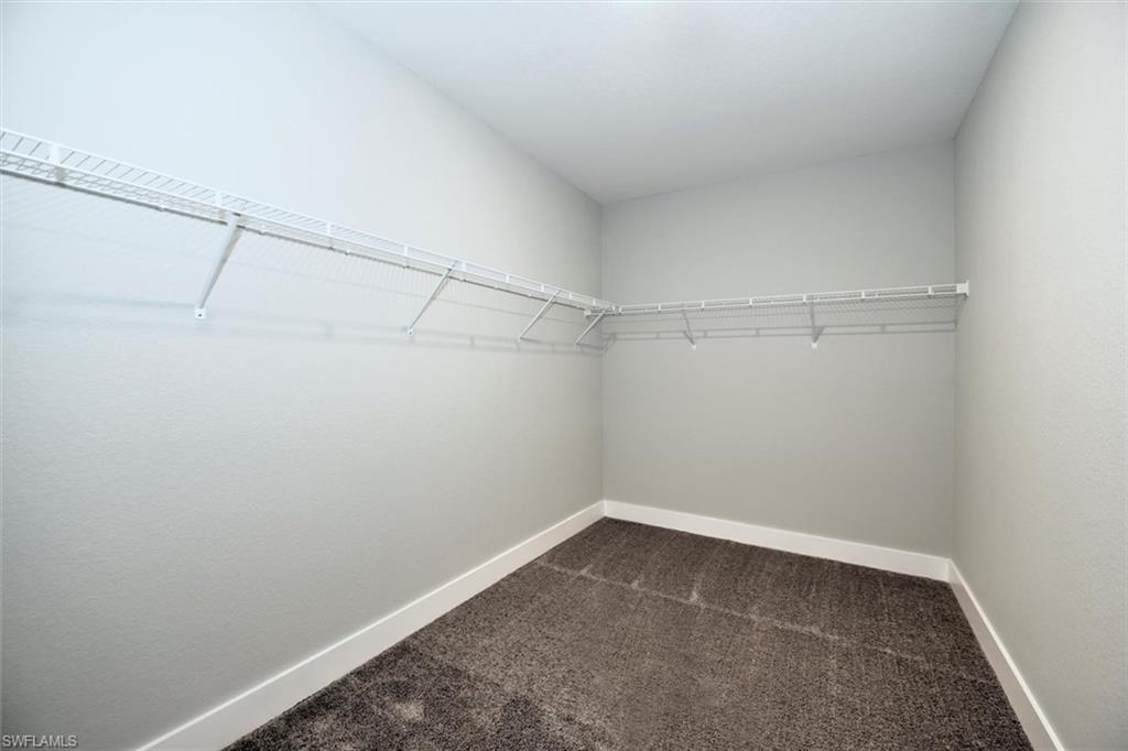 Spacious closet with carpet flooring