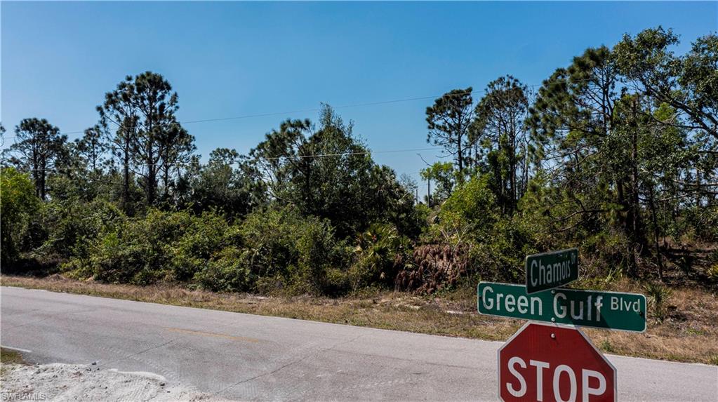 12533 Green Gulf BLVD photo 6
