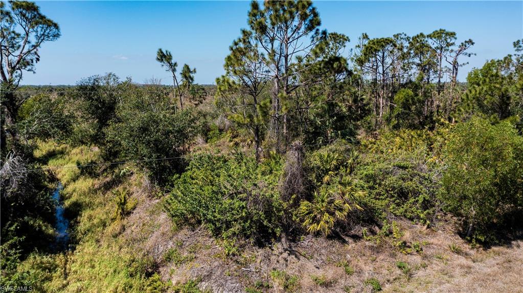 12539 Green Gulf BLVD photo 19