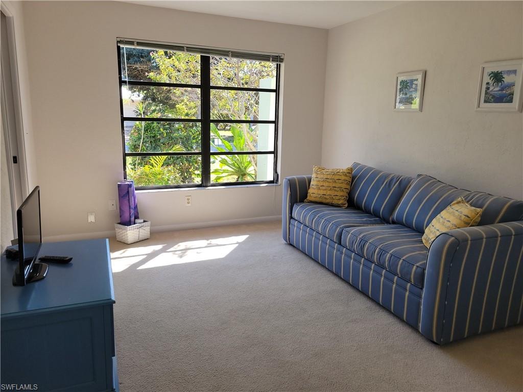Living room featuring carpet floors