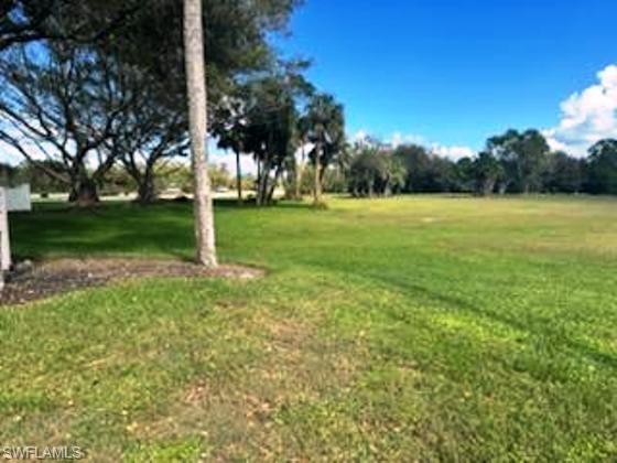View of THE LOT