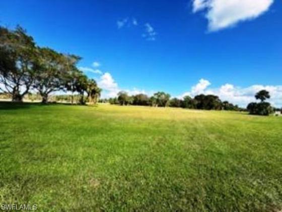 View of THE LOT