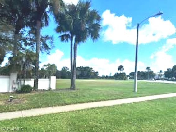 View of THE LOT