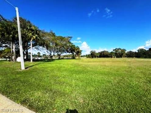 View of THE LOT