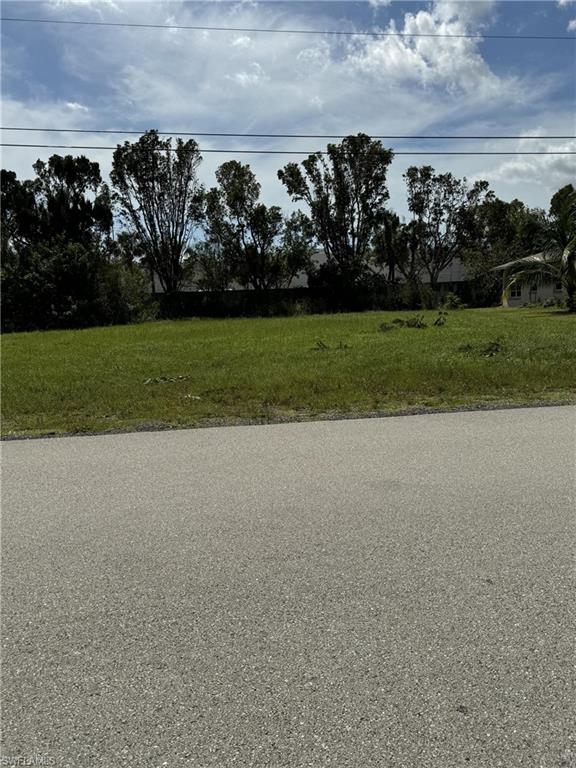 1734 Coral Point DR photo 6