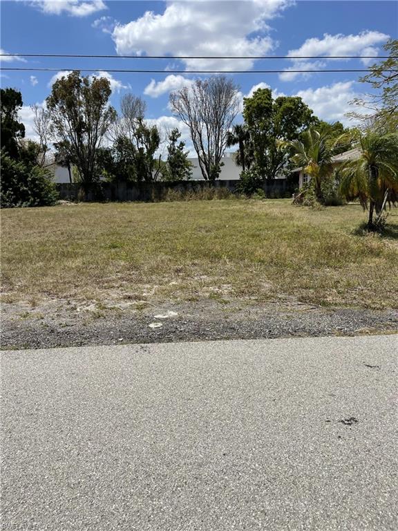 1734 Coral Point DR photo 7