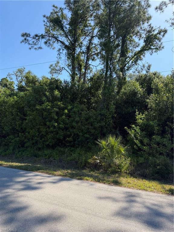904 Sheldon AVE photo 7