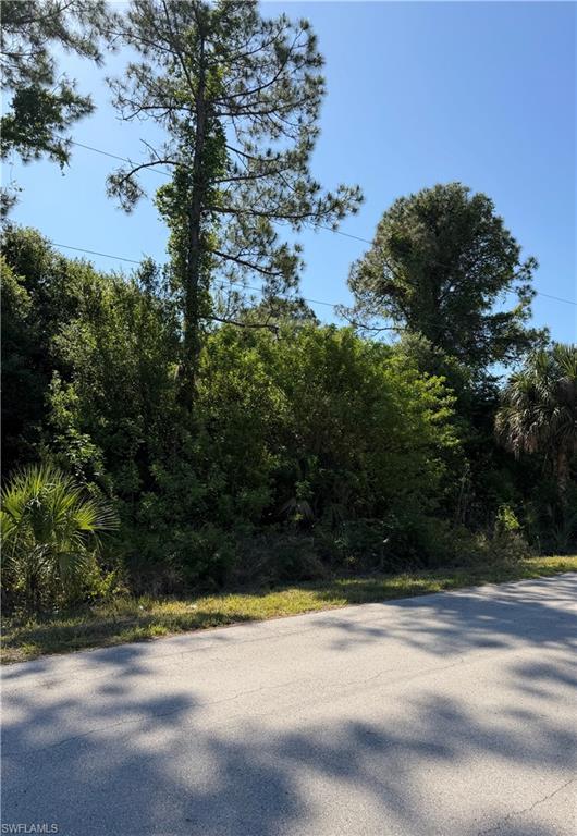 904 Sheldon AVE photo 10