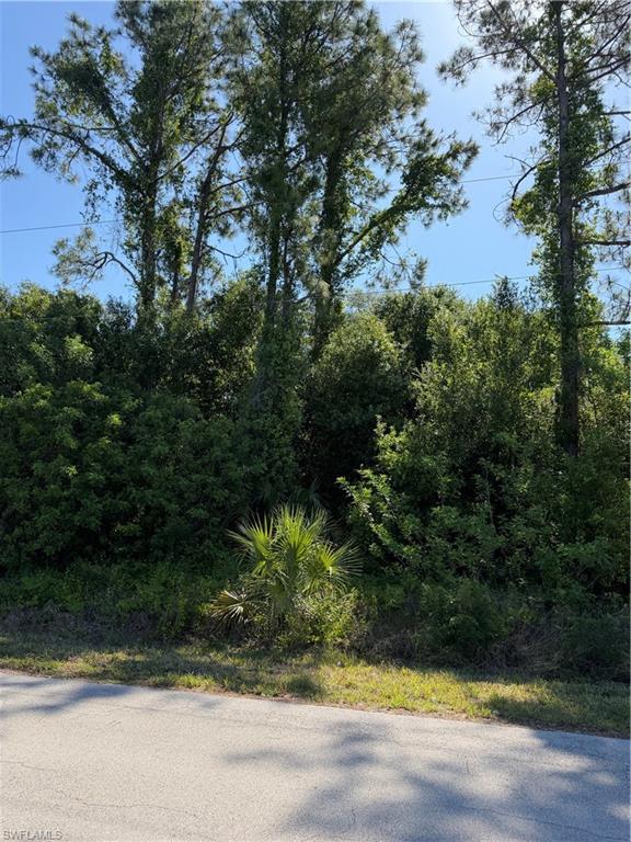 904 Sheldon AVE photo 8