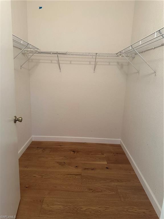 Walk in closet with dark wood-type flooring