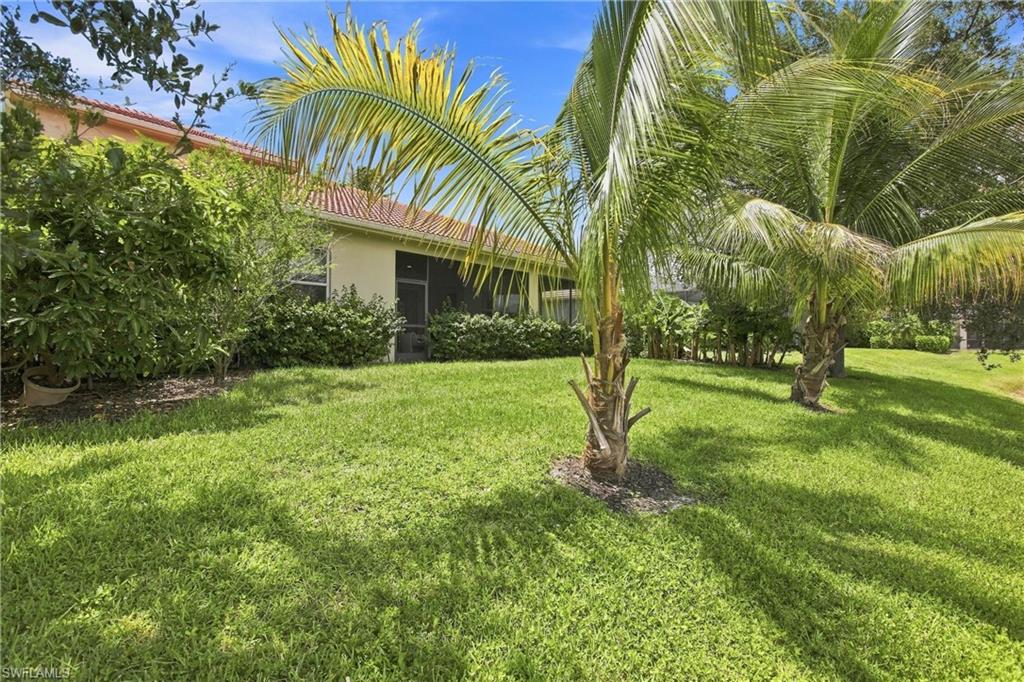 291 Saddlebrook LN photo 32