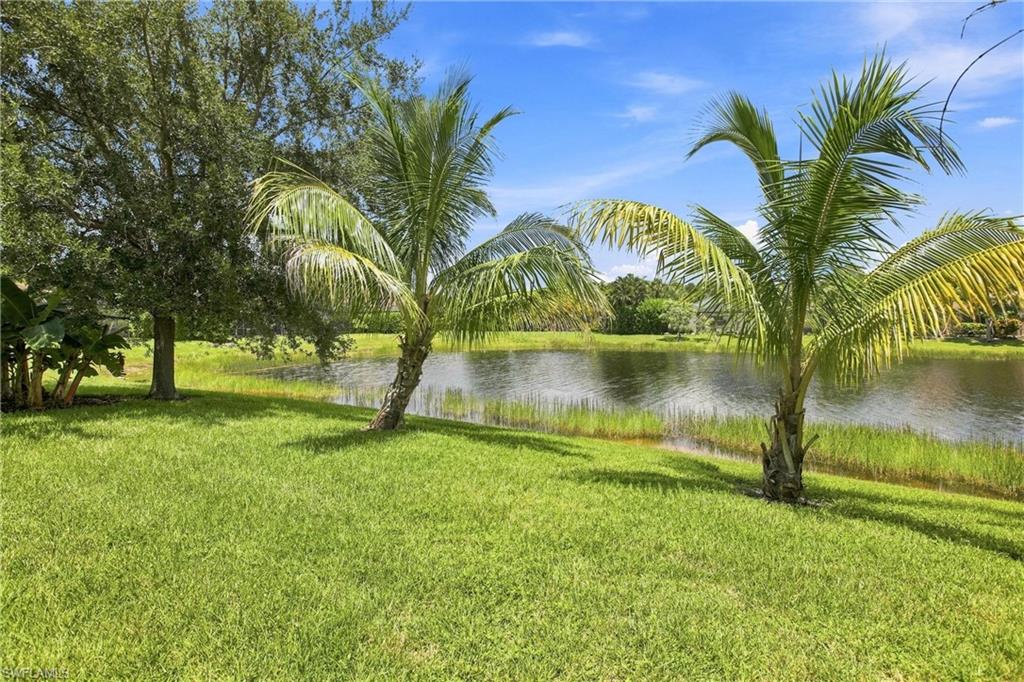 291 Saddlebrook LN photo 31