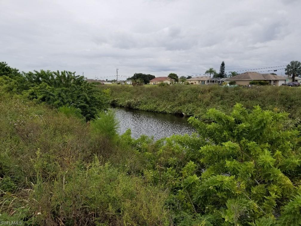 View of local wilderness with a water view