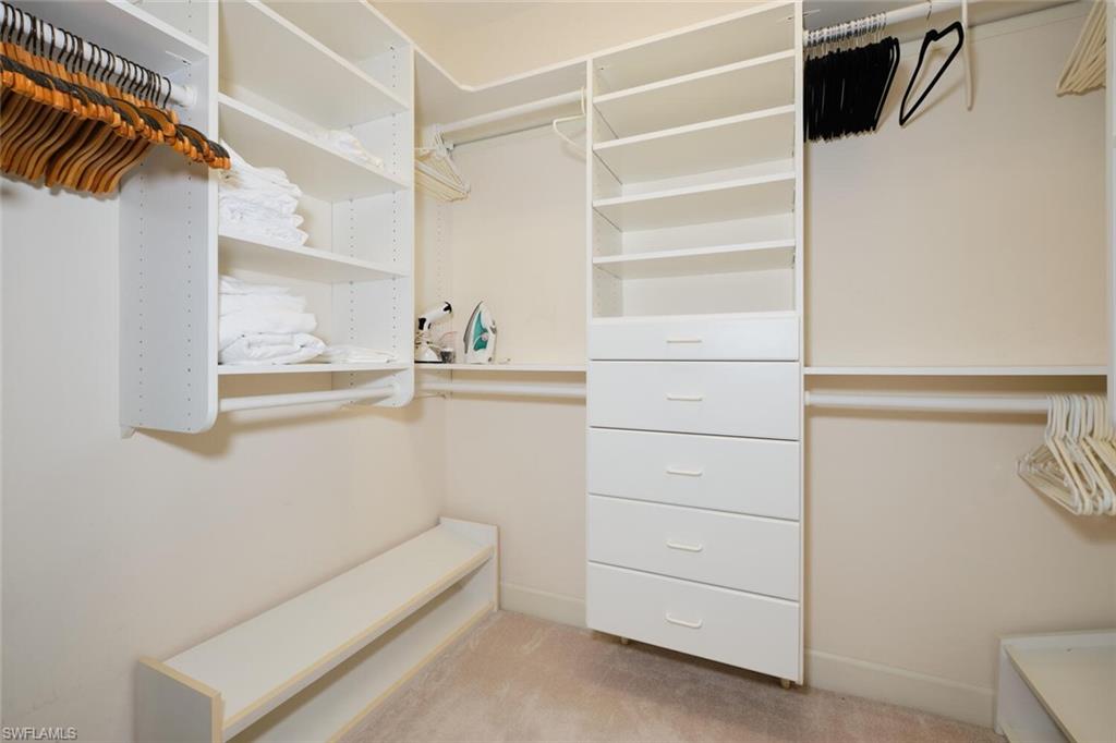 Walk in closet with light carpet