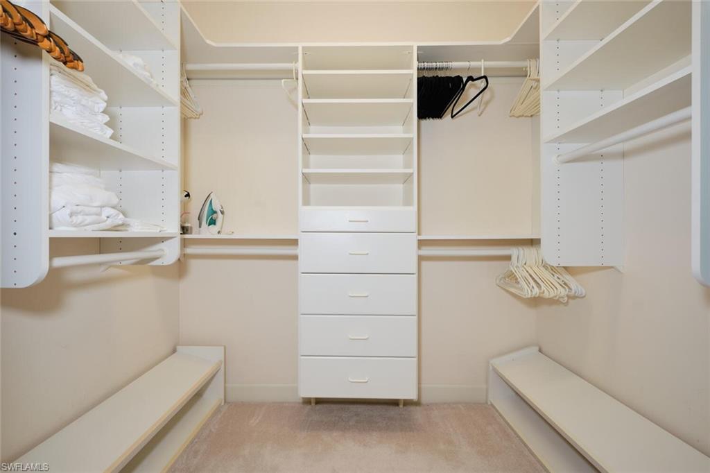 Spacious closet featuring light colored carpet