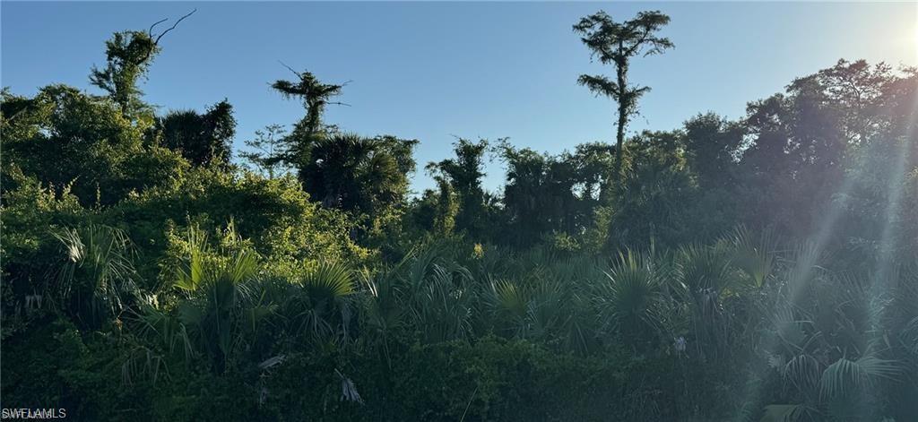 View of nature