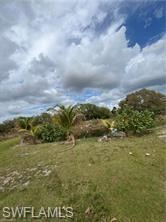 17181 Katydid LN photo 13