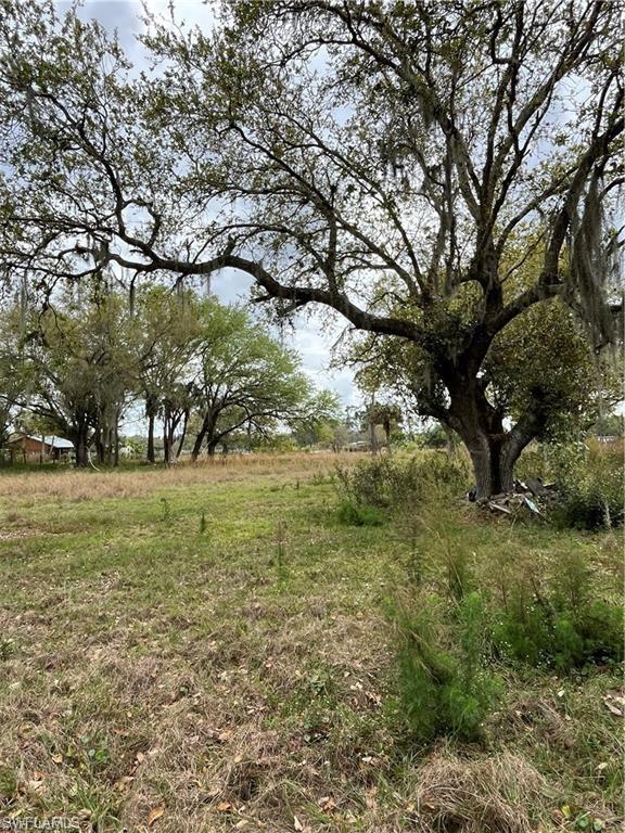 17181 Katydid LN photo 11