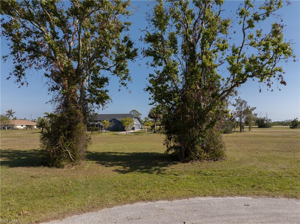 17154 Sugar CT photo 9