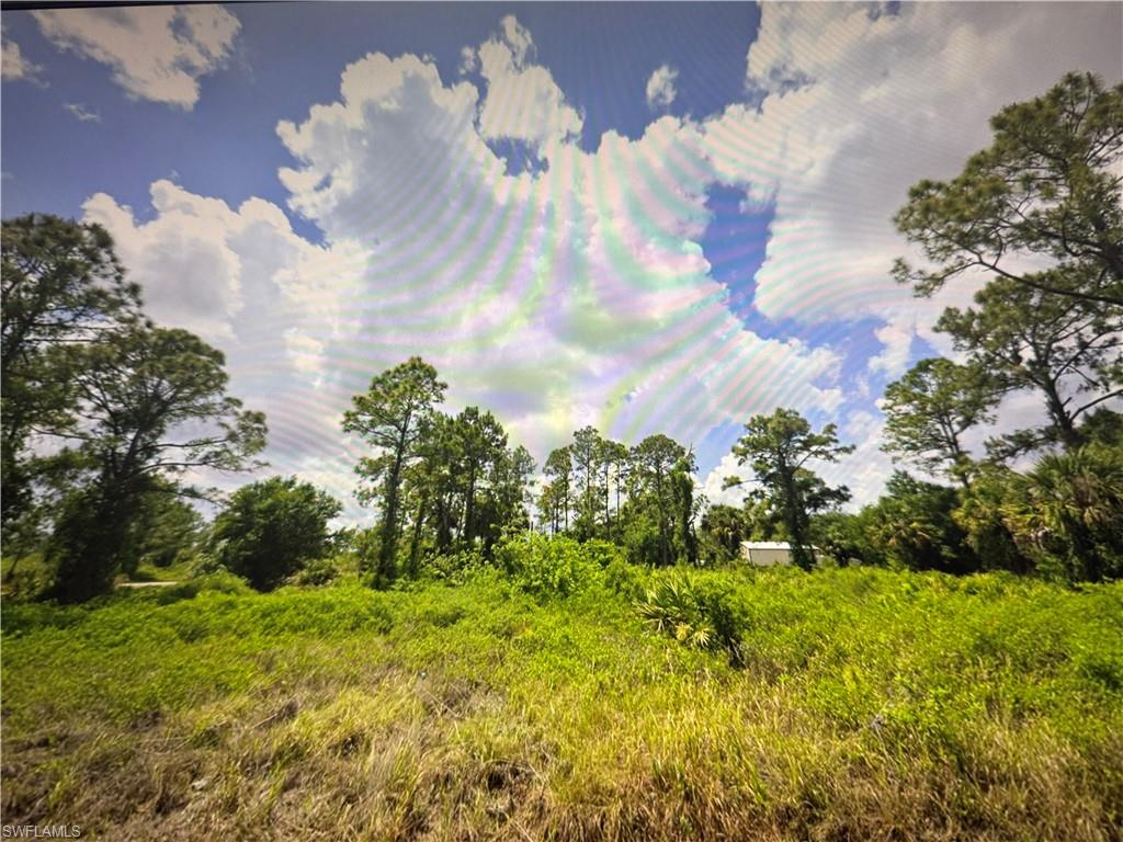View of landscape
